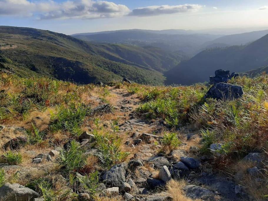 Casinha Do Sol - Natureza & Lazer - Serra Da Freita Arouca Kültér fotó