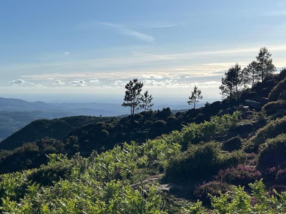 Casinha Do Sol - Natureza & Lazer - Serra Da Freita Arouca Kültér fotó