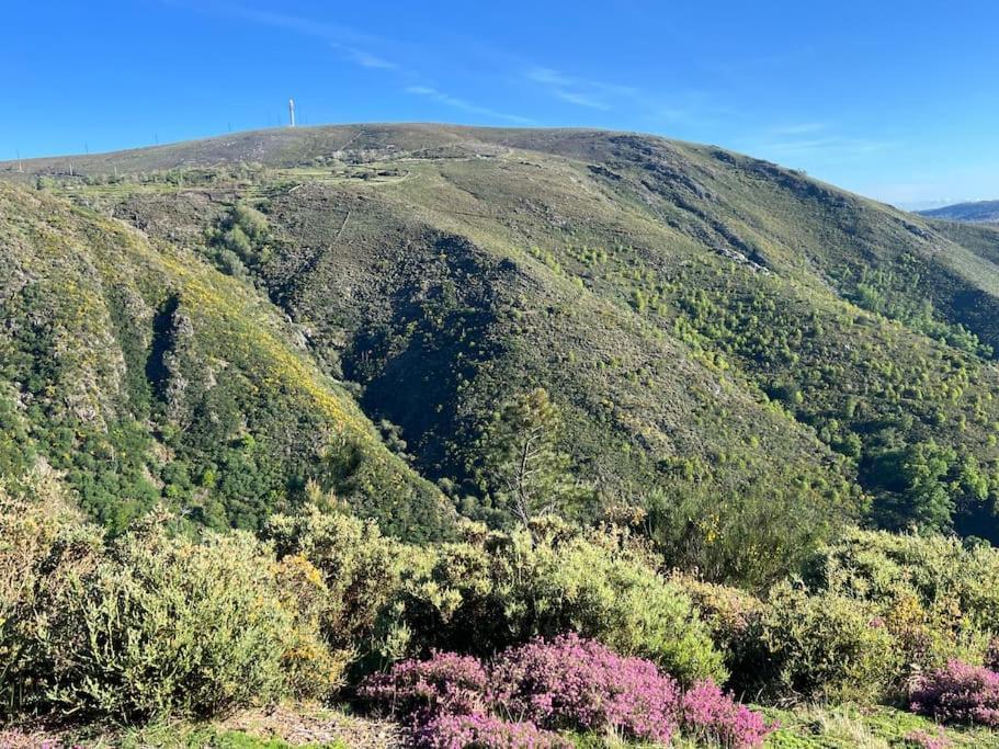 Casinha Do Sol - Natureza & Lazer - Serra Da Freita Arouca Kültér fotó